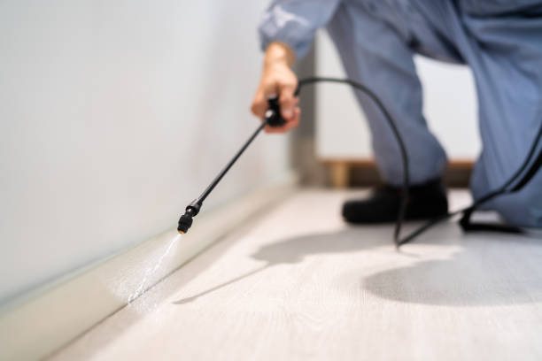 Licensed Termite Control service in Wallace, ID - Nex Pest Control