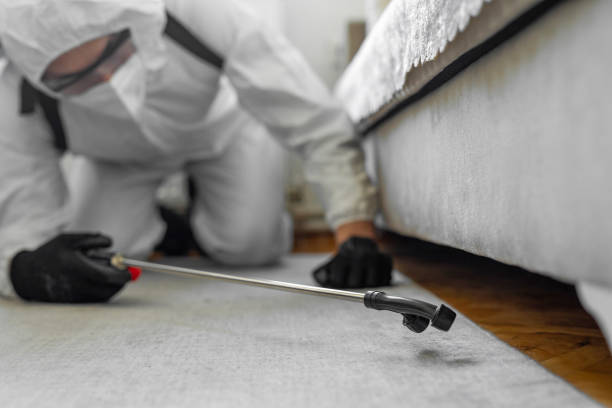 Professional Termite Control technician working in Wallace, ID