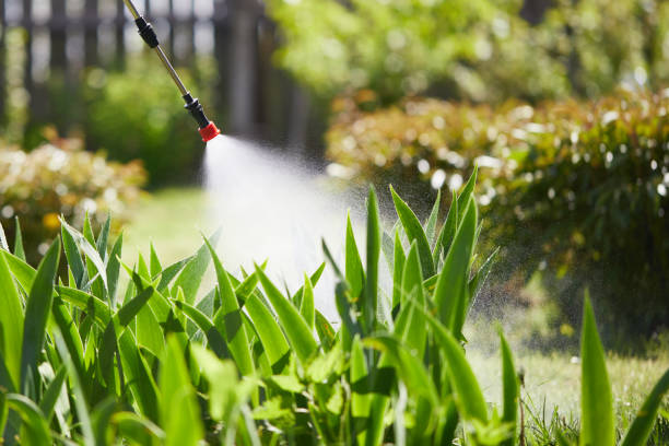 24/7 Emergency Termite Control experts in Wallace, ID