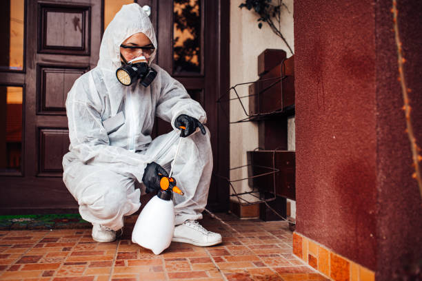 Reliable Termite Control contractor in Wallace, ID by Nex Pest Control