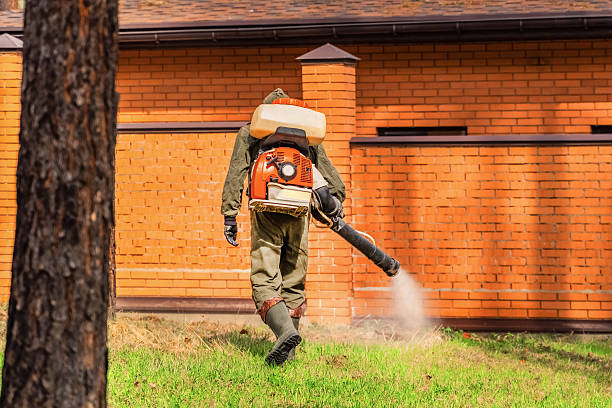 Top rated local Termite Control specialists in Wallace, ID